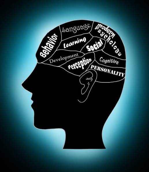 IMG_7554